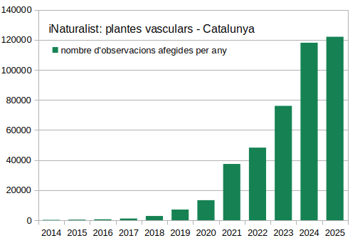 Evolució_observacions_Tracheophyta_iNaturalist_2014_2025
