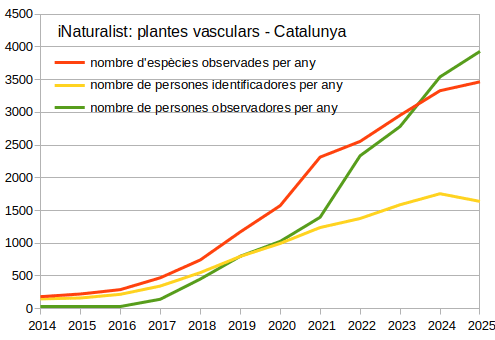 Evolució_persones_Tracheophyta_iNaturalist_2014_2025