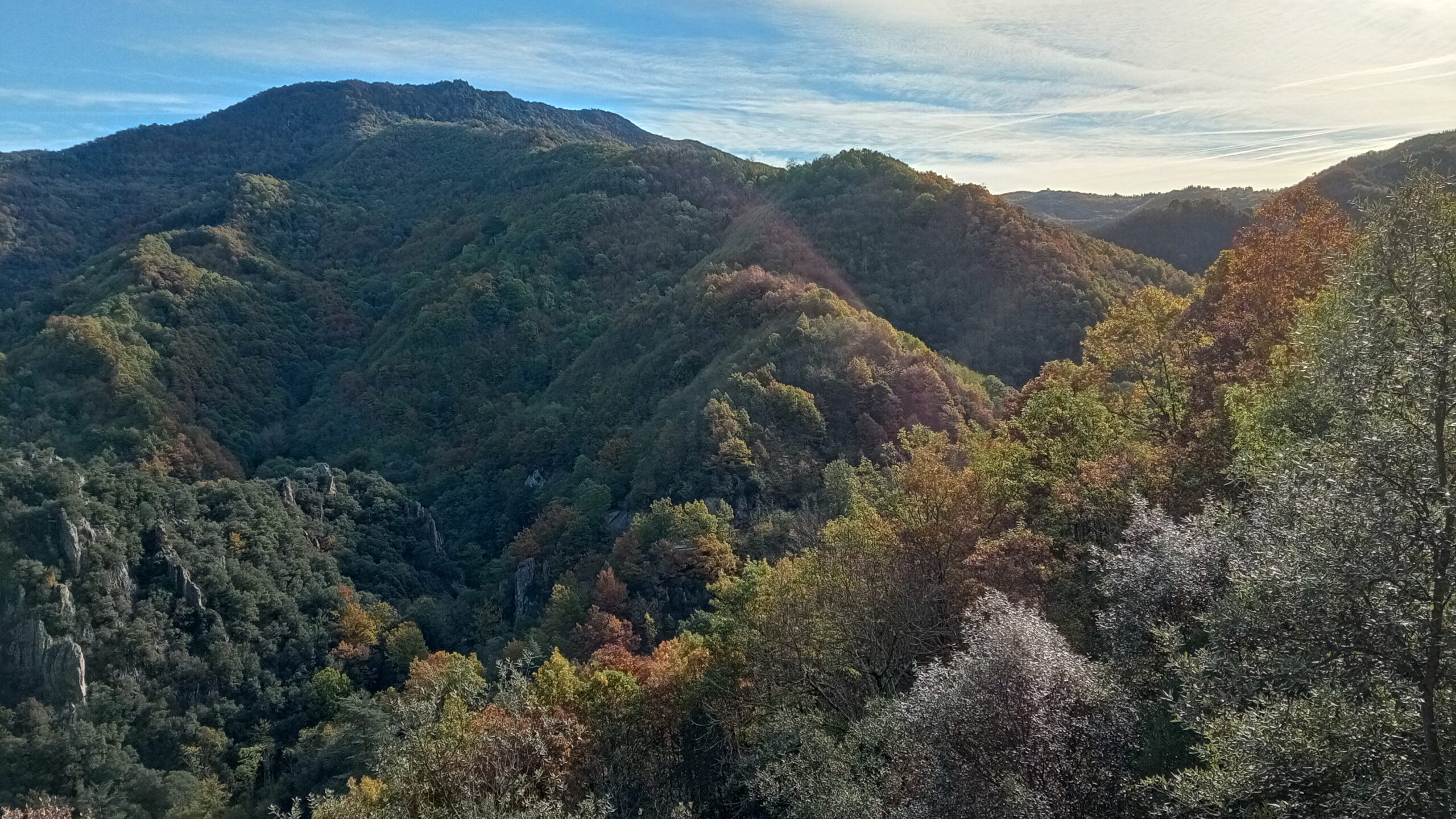 destacada_floraGuilleries